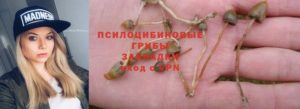эйфоретик Алексин