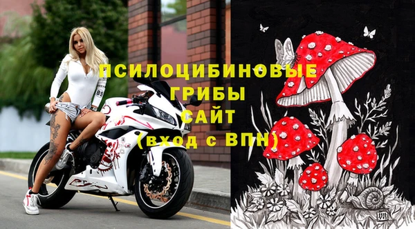 ГАЛЛЮЦИНОГЕННЫЕ ГРИБЫ Алзамай