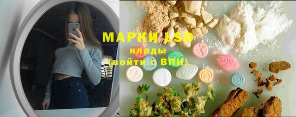 ГАЛЛЮЦИНОГЕННЫЕ ГРИБЫ Алзамай