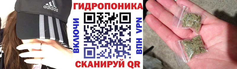 Бошки Шишки марихуана  Лесосибирск 